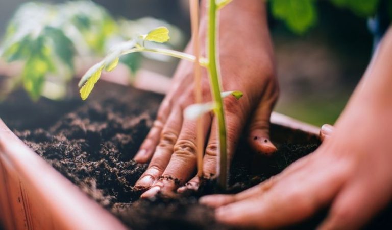 Dia Internacional Da Reciclagem Agir Pela Sustentabilidade RioMar Recife