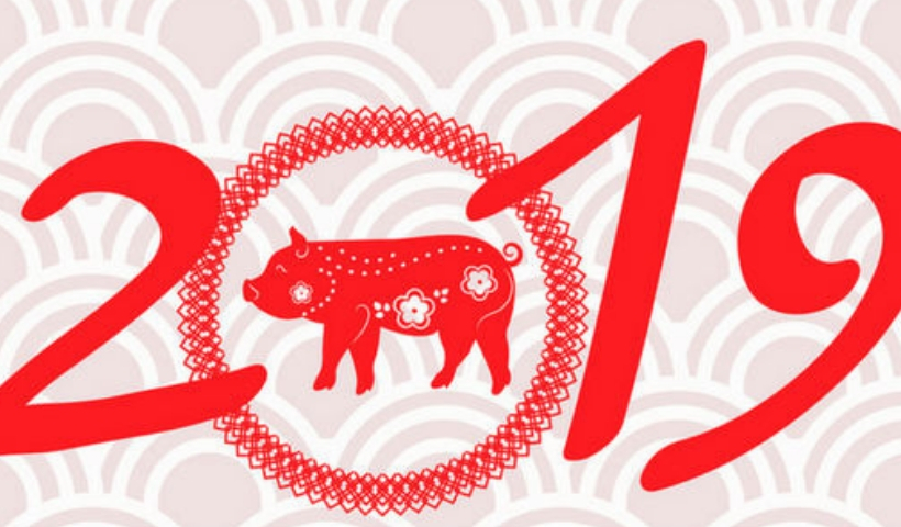 2019 é o ano do Porco! Aproveite a abundância