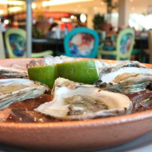 Salivando em 3,2,1! Saiba onde comer ostras frescas no RioMar