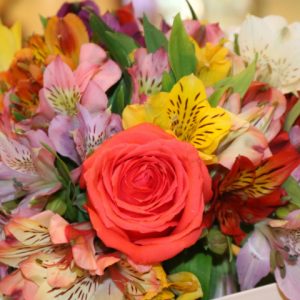 Dia dos Namorados: rosas trazem significado para seu romance