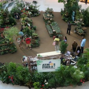 “Atmosphera: Plantas & Paisagismo”: feira chega ao RioMar