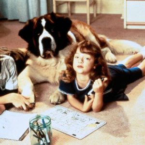 5 filmes para assistir ao lado do seu ‘cãopanheiro’