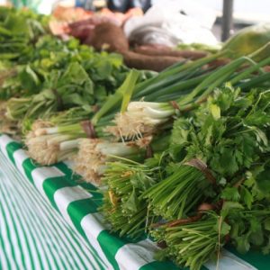 Feira Agroecológica, todas as quartas, no RioMar