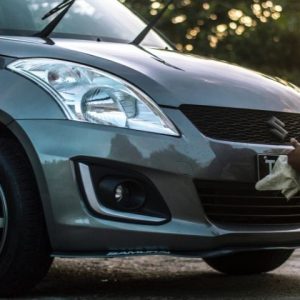 Banca do Automóvel: seu carro limpo e organizado