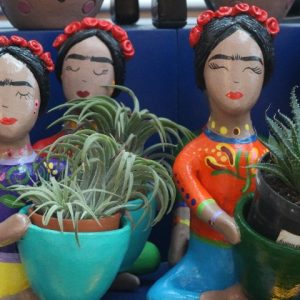 Ama decorar com plantinhas? Conheça o quiosque Frida Suculentas