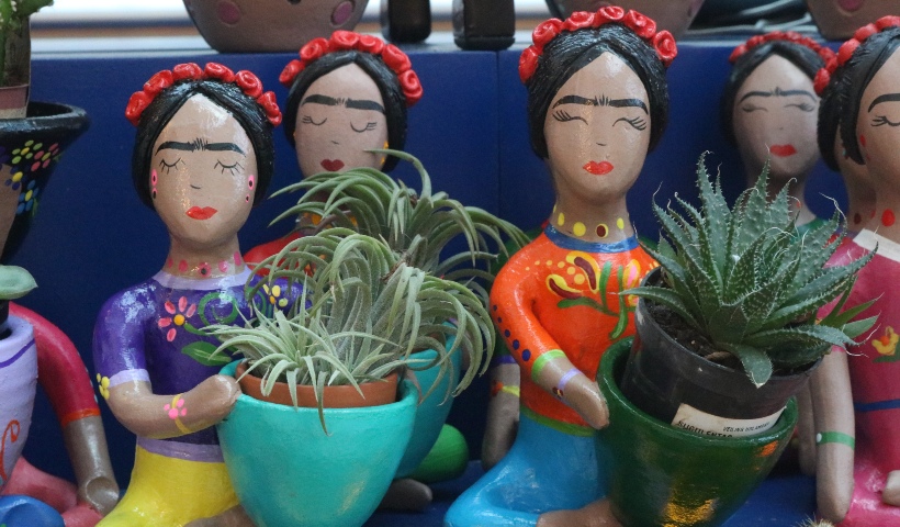 Ama decorar com plantinhas? Conheça o quiosque Frida Suculentas