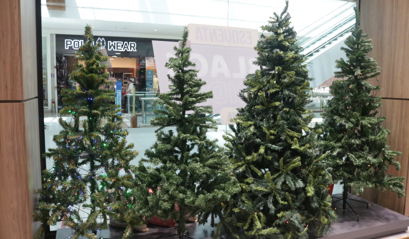 Confira as dicas de árvores de Natal disponíveis no RioMar | RioMar Recife
