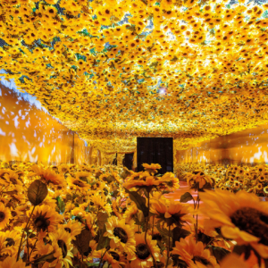 Dia das Mães: exposição Van Gogh Live 8K terá promoção especial
