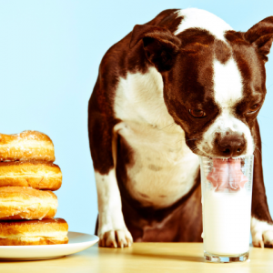 Cachorro pode beber leite sem lactose? Petz explica