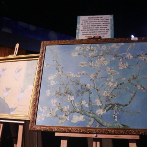 Exposição de Van Gogh tem quadros com molduras à venda