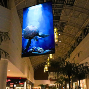 Mundo Marinho: vídeo com elementos 3D traz imersão ao mall