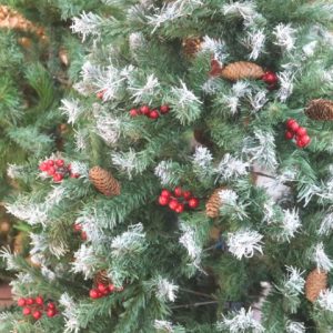 Árvore de Natal: veja diversas opções e escolha a sua